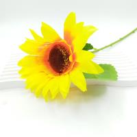 单支向日葵花