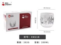 ZY新XM21B