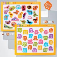 5013磁性识字拼图