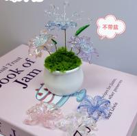 QY海洋花