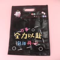 PXG双层拉链手提袋