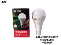 A泡款应急球灯泡12W