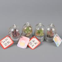 QYS多肉挂件