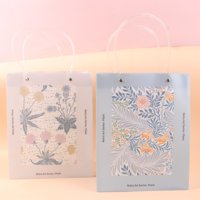 XBK-5923竖版透明手提袋
